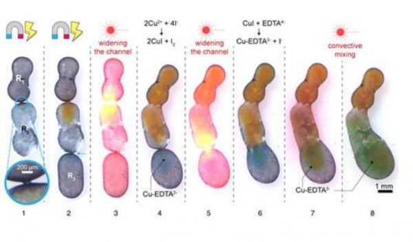 결합된 나노 계면활성제 액체방울 내부의 화학 반응을 나타낸다. [사진=과학기술정보통신부]