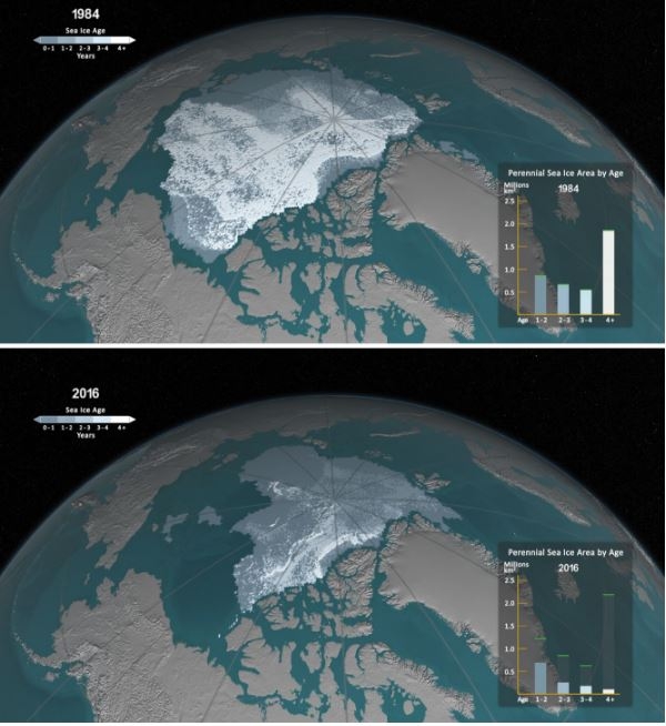 IPCC는 지구평균 기온이 1.5°C 증가하면 북극해의 얼음은 9월에 모두 녹아 내린다고 밝혔다. [사진=기후변화행동연구소]