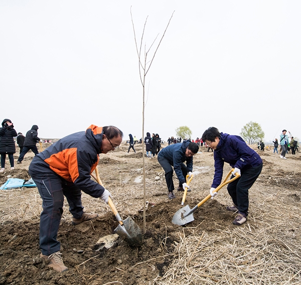 한국중부발전은 지난 4월 7일 한강 공원에서 탄소상쇄 숲 조성을 위해 나무를 심었다. [사진=한국중부발전]