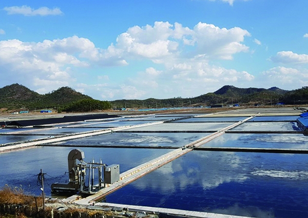 선우엔지니어링은 신안군의 폐 염전 부지에 40MW 규모의 주민참여형 태양광발전소 구축을 진행하고 있다. [사진=선우엔지니어링]