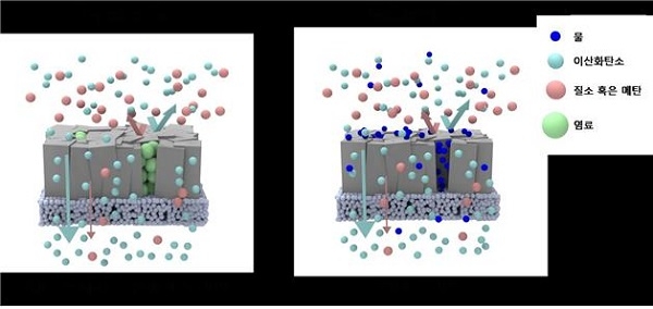 제올라이트 분리막의 후처리 및 수분 조건 하에서의 분리 거동에 대한 모식도. [사진=고려대학교]