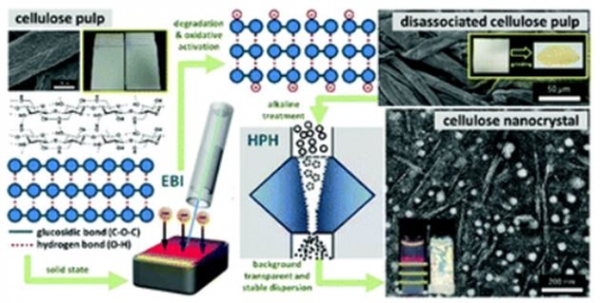 황산 공정 대신 전자빔 공정을 활용한 나노셀룰로오스 결정체 제조공정 [사진=한국화학연구원]