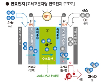 연료전지 구조도