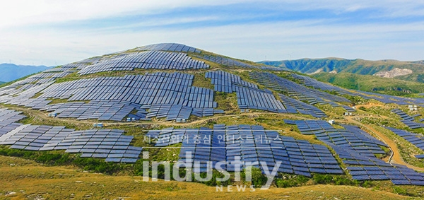 라이젠에너지가 중국 허난성에 구축한 100MW 규모의 태양광발전소 전경 [사진=라이젠에너지]