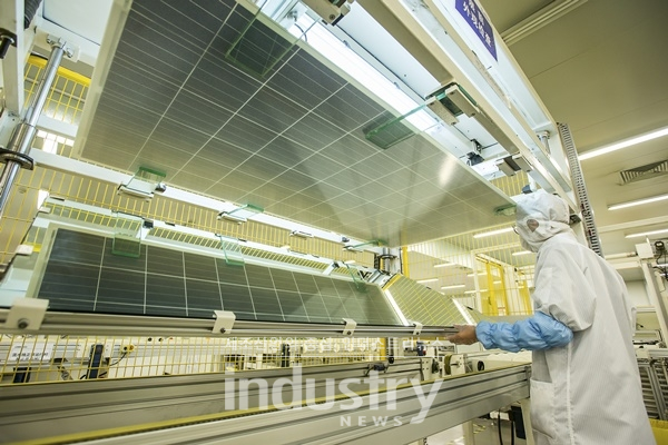 JINERGY는 지난해 고효율 다결정 모듈 및 PERC 단결정 태양광 모듈의 KS인증을 획득했다. [사진=JINERGY]
