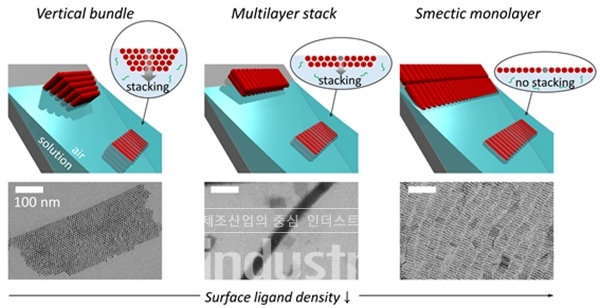나노막대 표면을 감싸고 있는 리간드 층 밀도에 따른 자기조립구조 모식도와 전자현미경 이미지 [사진=KAIST]