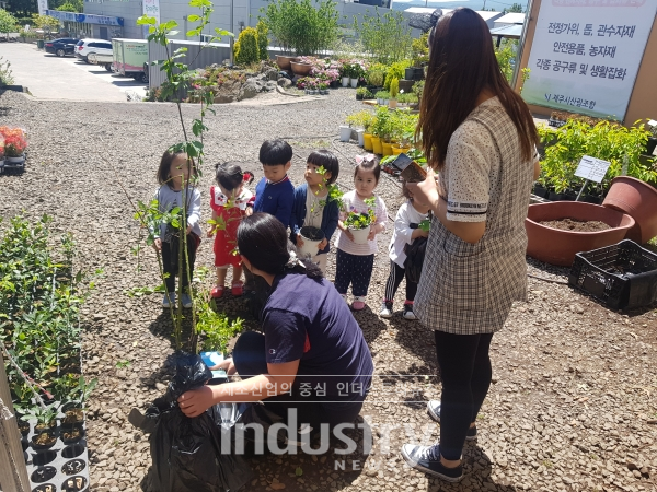 제주도는 10월 3일부터 기관단체는 1곳당 100본 이내, 개인은 1인당 2본 이내에서 총 8천여본의 미세먼지 저감 실내식물을 나눠준다. [사진=제주도]