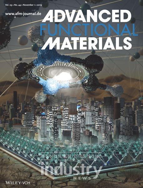 어드밴스드 펑셔널 머티리얼스(Advanced Functional Materials) 표지 논문 [사진=서울대학교 공과대학]