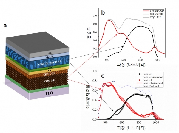 본 연구에서 개발된 양자점·유기 하이브리드 탠덤 태양전지 (a) 하이브리드 탠덤 태양전지의 구조. 밤색(CQD ink)이 양자점, 파란색이 유기고분자 소재이다.(b) 양자점(빨간색)과 유기 고분자(검정색)의 광흡수 거동 그래프. 양자점·유기물 하이브리드 태양전지(회색) 광흡수 거동의 그래프는 두 물질이 각각 흡수하는 영역에서 보이는 그래프와 유사한 형태를 보인다. 이는 각 소재의 광흡수 특성이 소자에 잘 적용됐음을 확인시켜주는 그림이다.(c) 하이브리드 탠덤 태양전지에서 얻어진 외부 양자효율 그래프. 가로축은 빛의 파장, 세로축은 외부에서 들어온 광자(빛 알갱이)로 전자를 방출한 비율을 나타내는 양자효율.