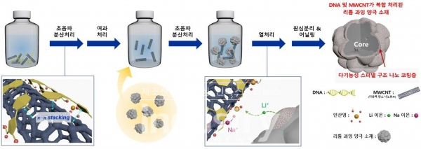 리튬이온과 친화력이 우수한 연어의 DNA를 탄소나노튜브와 합성을 진행하며, OLO 표면에 부착해 표면 구조를 제어한 양극 소재를 합성하는 절차의 모식도 [사진=한국과학기술연구원]