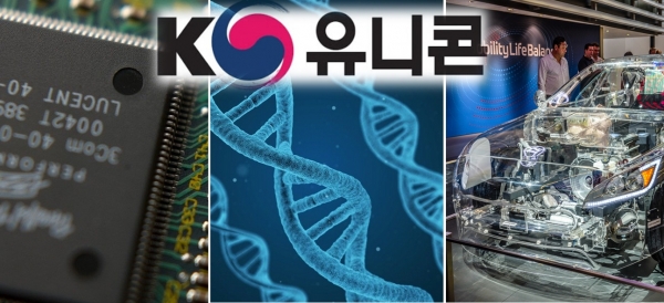 중소벤처기업부가 반도체와 바이오헬스, 미래차 등 BIG 3를 중심으로 하는 스타트업을 발굴해 K-유니콘기업을 육성하는 프로젝트를 시행한다고 발표했다. [사진=pixabay]