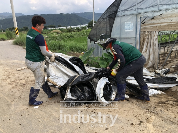 녹색에너지연구원 임직원 40여명이 최근 집중호우로 인해 큰 피해를 입은 전남 곡성군 곡성읍 신리 일원 피해 농가를 찾아 수해복구에 동참했다. [사진=녹색에너지연구원]