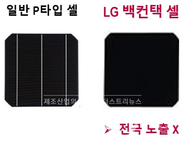 LG전자 BIPV(AC) 모듈에 사용된 백컨텍셀은 전면 전극이 없어 [사진=LG전자]