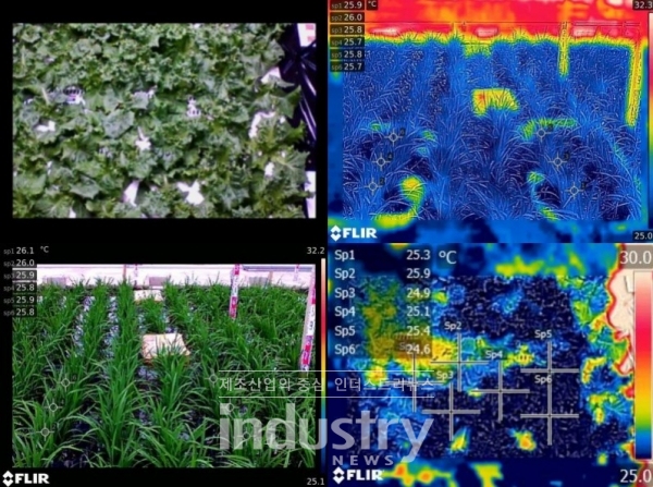 FLIR AX8은 온도 정보와 함께 80 x 60 픽셀의 적외선 이미지를 제공한다. [사진=플리어]