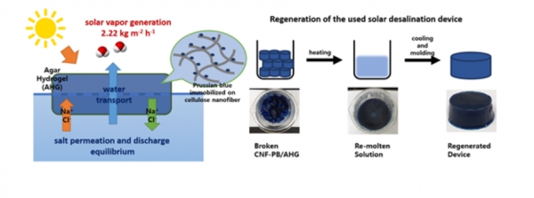 (좌)해수를 흡수하여 태양광 에너지를 기반으로 물을 증발시키고 염은 배출하는 소재의 개략도, (우)사용 후 소재를 회수하여 단순한 가열, 냉각 과정으로 재생할 수 있음을 보여줌 [자료=DGIST]