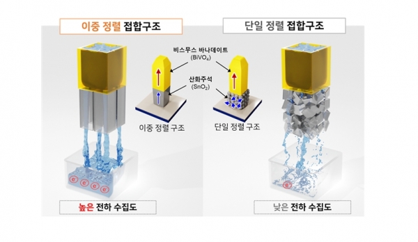 이종접합 광전극 구조와 전하 수송 수집 특성 모식도. 이중정렬 접합구조(왼쪽), 단일 정렬 접합구조(오른쪽) [자료=한국연구재단]