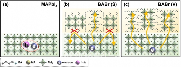 2차원 보호층을 포함한 페로브스카이트 박막의 결정 구조와 전자 수송 개략도. 페로브스카이트층에서 생성된 자유전자가 구조적 정렬이 잘 이루어진 진공증착 기반의 2차원 보호층(BABr (V))을 통해 원활히 이동하는 모습을 보여주고 있다. [사진=UNIST]