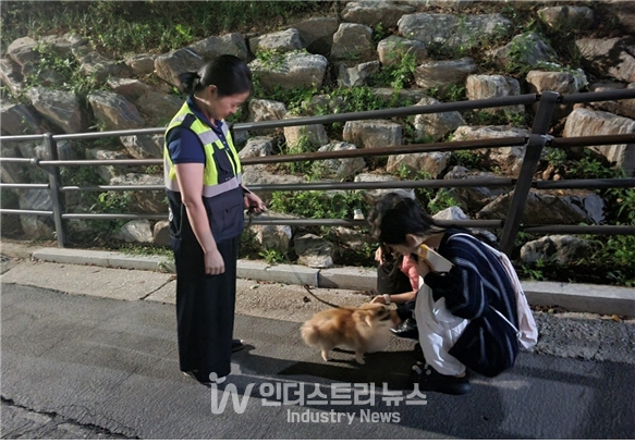 성 귀갓길에 동행하고 있는 반려견 순찰대 [사진=서울시]