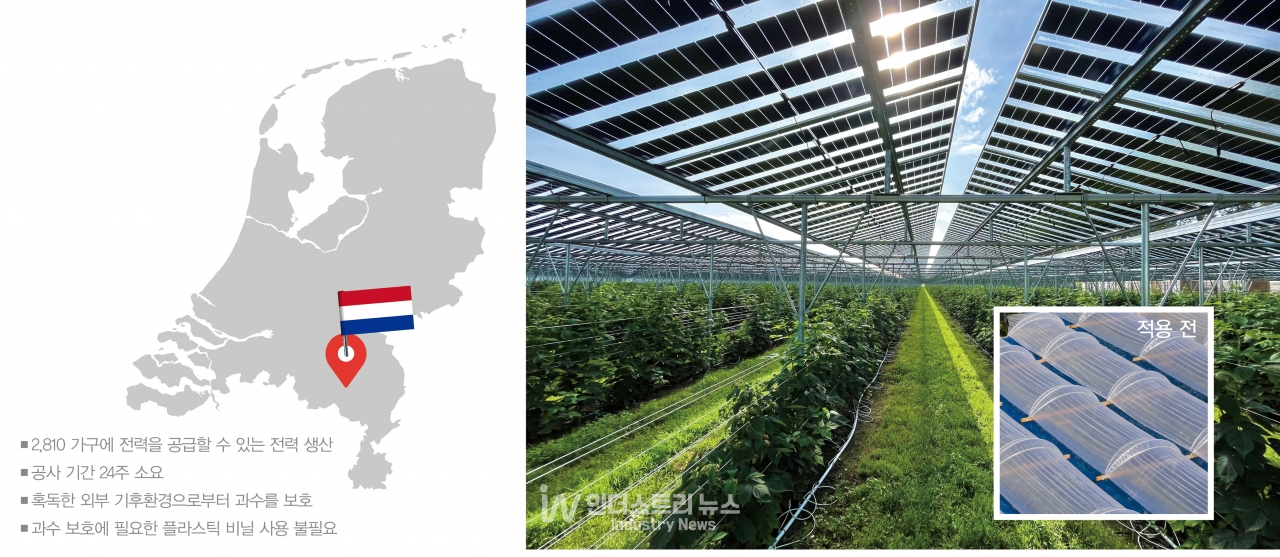 네덜란드 노스브라반트(North Brabant)주에 조성된 8.7MW 규모 과수형 태양광(Fruit-PV)