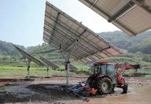 농사짓고 전기 생산하는 태양광 이모작 트래커