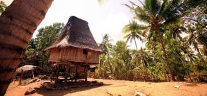코이카, 인도네시아-동티모르에 그린뉴딜 ODA 추진… 태양광 보급