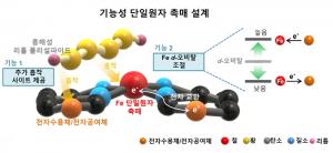 KAIST, 차세대 전지 주목되는 고성능 리튬-황 전지 개발… 기존보다 30% 향상