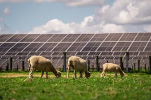 트리나솔라, 뉴질랜드 최대 규모 태양광발전소 준공… 연간 약 55GWh 전력 생산