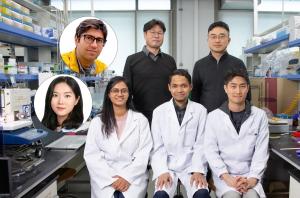 UNIST‧스탠퍼드 국제공동연구팀, 고효율 태양광 암모니아 생산법 개발