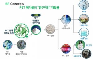 경북대·CJ제일제당 연구팀, ‘세계 최고’ PET플라스틱 분해효소 개발