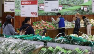 농식품부 “배추·무 등 주요 채소 수급 선제 대응…여름철 물가 안정 총력”