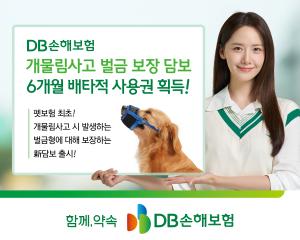 DB손보, 개물림사고 벌금 보장 6개월 배타적사용권 획득