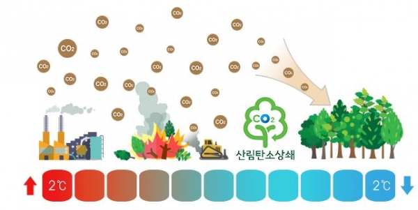 한국임업진흥원이 산림탄소상쇄 모니터링 교육을 실시한다. [사진=한국임업진흥원]