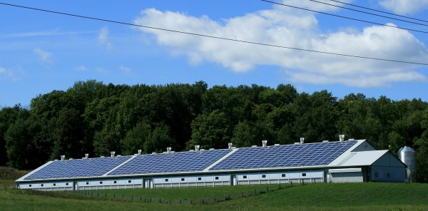 태양광은 연평균 33.9%의 증가세를 보이며, 재생에너지 전원 중 가장 높은 전력생산 증가율을 보였다. [사진=pixabay]