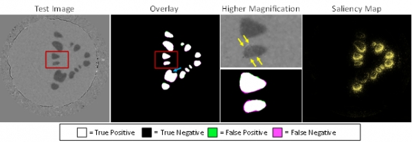 시뮬레이션을 활용해 훈련한 인공지능의 X-ray Computed Tomography 이미지의 상 분리 결과 [자료=KAIST]<br>