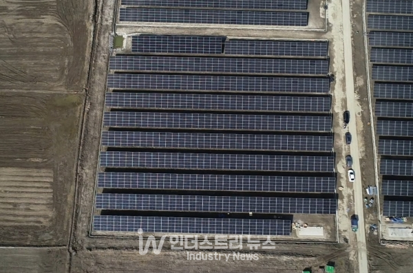 글로벌 태양광 모듈 기업 진코솔라(Jinko Solar)는 국내 첫 ‘타이거네오(TigerNeo) 프로젝트’를 완공했다. [사진=진코솔라]