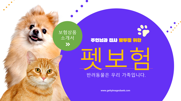 설 연휴기간 동안 반려동물의 질병이나 사고에 대비해 펫보험을 준비하면 반려동물의 건강과 안전에 큰 도움이 될 것이다 / 사진=getty이미지
