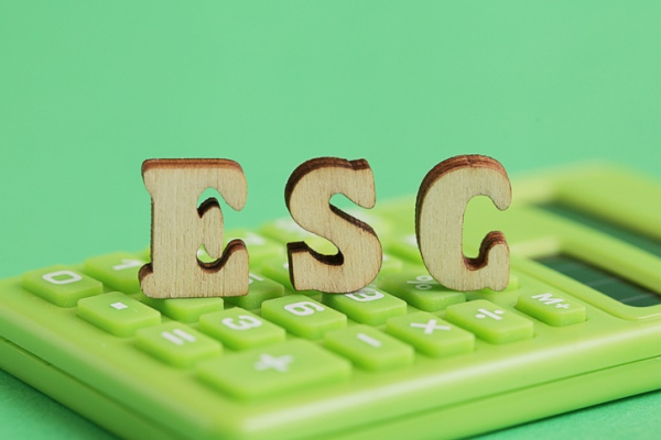 ESG_gettyimage